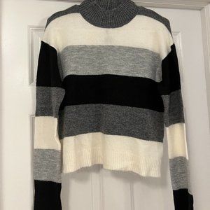 Express Striped Turtleneck Sweater